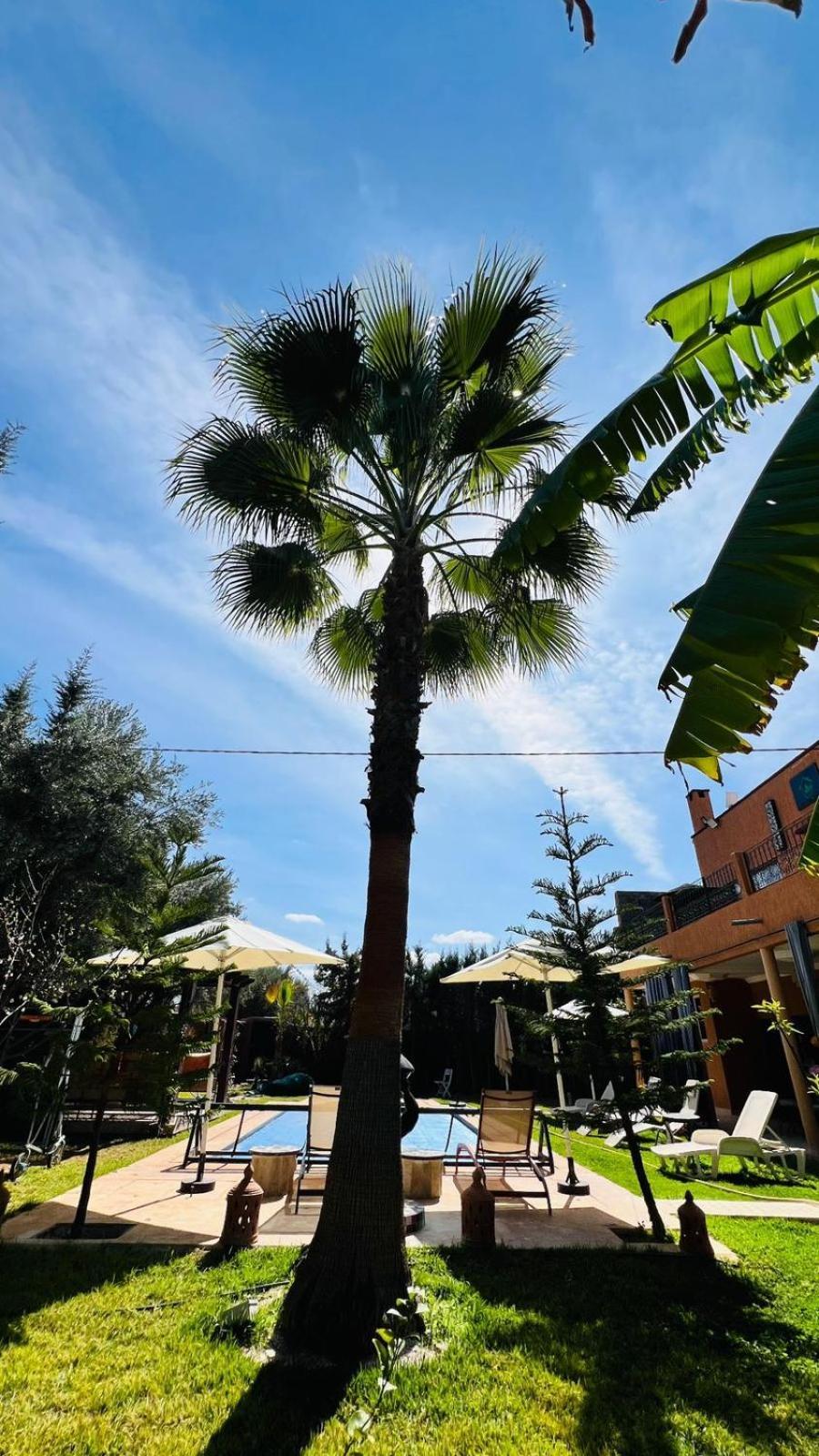 Ilafe Farmhouse, Villa Avec Piscine Chauffee Privee Et Jacuzzi Pour Familles Marrakesh Ngoại thất bức ảnh