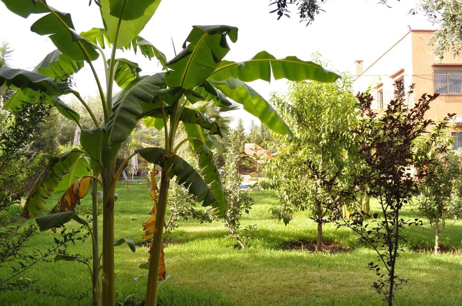 Ilafe Farmhouse, Villa Avec Piscine Chauffee Privee Et Jacuzzi Pour Familles Marrakesh Ngoại thất bức ảnh